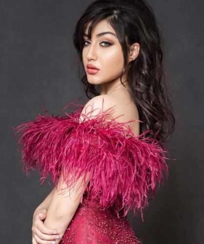 بیوگرافی حانی حسنی