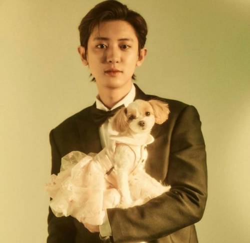 اکسو exo کیست؟ | بیوگرافی دی او کیونگسو جذاب ترین خواننده ی مرد کره ای (+عکس) اکسو exo کیست؟