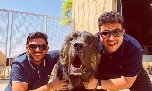 بیوگرافی علیرسا اینستاگرام 