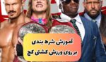 ۵۰ میلیون درآمد از شرط بندی روی کشتی کج مسابقات WWE (تضمینی)