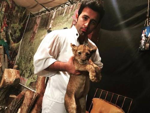 مدریک کیست ؟ 