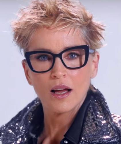 زندگی خصوصی شارون استون بازیگر 