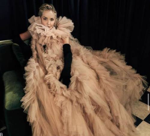  شارون استون بازیگر محبوب هالیوودی +بیوگرافی شارون استون بازیگر