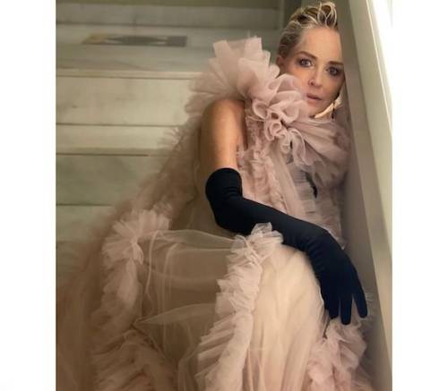 بیوگرافی شارون استون بازیگر محبوب هالیوودی