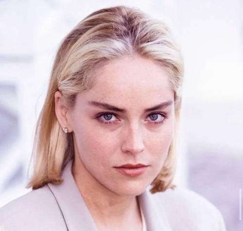 فیلم های حرفه ای شارون استون +بیوگرافی شارون استون بازیگر