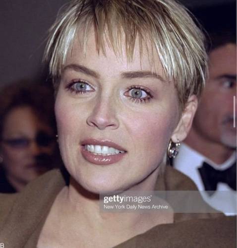 فیلم های رمانتیک شارون استون +بیوگرافی شارون استون بازیگر