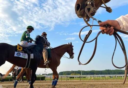 راهنمای شرط بندی مسابقات اسب سواری بلمونت 2023 (بررسی ضرایب و سایت معتبر)