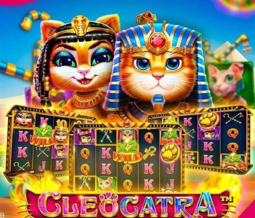 آموزش بازی کازینویی سیگنوس 3 | تا ضریب 100 برابری سرمایه اولیه