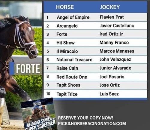 راهنمای شرط بندی مسابقات اسب سواری بلمونت 2023 (بررسی ضرایب و سایت معتبر)