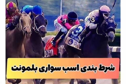 راهنمای شرط بندی مسابقات اسب سواری بلمونت (بررسی ضرایب و سایت معتبر)
