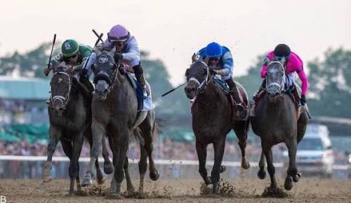 راهنمای شرط بندی مسابقات اسب سواری بلمونت 2023 (بررسی ضرایب و سایت معتبر)