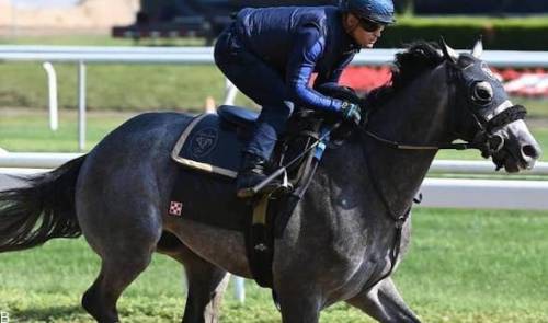 راهنمای شرط بندی مسابقات اسب سواری بلمونت 2023 (بررسی ضرایب و سایت معتبر)