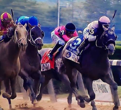 راهنمای شرط بندی مسابقات اسب سواری بلمونت 2023 (بررسی ضرایب و سایت معتبر)