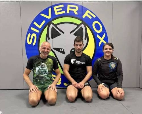 جوجیتسو برزیلی چیست