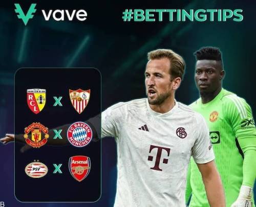 معرفی سایت واو کازینو 