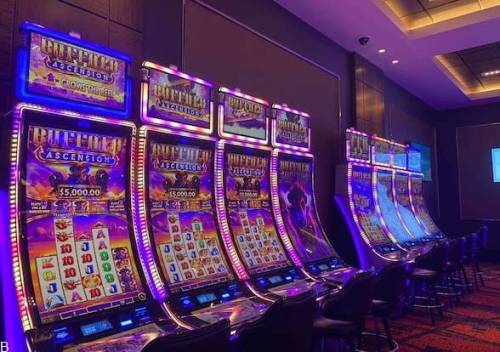 معرفی بازی های خفن اسلات با موضوع بوفالو