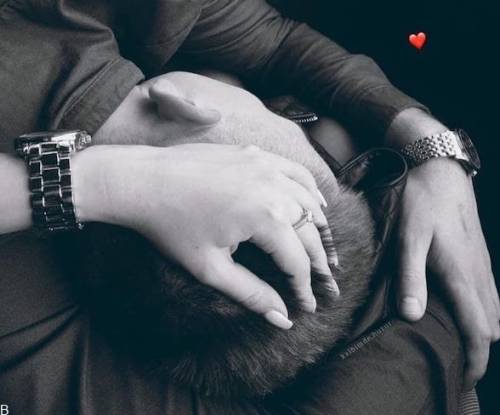 هورنی ها در شهریور