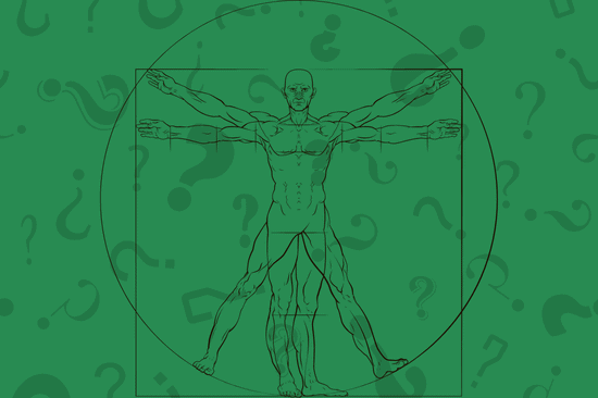 بررسی بازیکنان بازی فکری ویتزاند WIT’S END